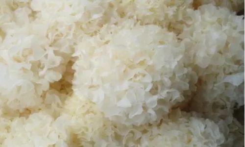 How Long Does It Take to Cook Tremella Fuciformis White Fungus)