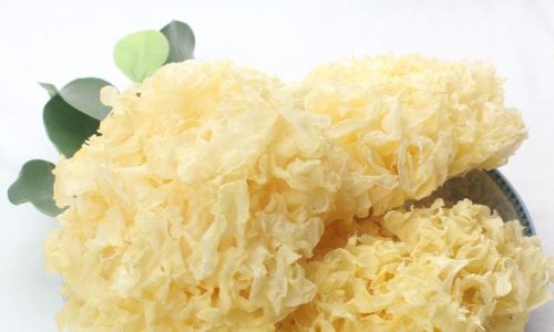 Understanding the Shelf Life of White Fungus Tremella fuciformis)A Comprehensive Guide