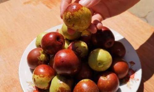 How to Make Crispy Winter Jujube at Home:A Step-by-Step Guide to Perfectly Crunchy Delights