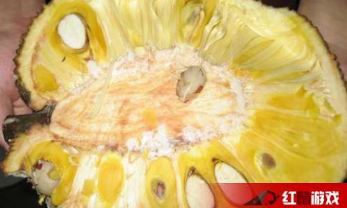 Effective Methods to Ripen Jackfruit:A Comprehensive Guide