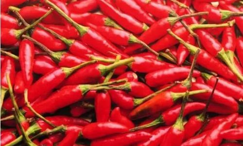 Mastering the Art of Crispy and Flavorful Vinegar-Marinated Red Peppers:A Step-by-Step Guide