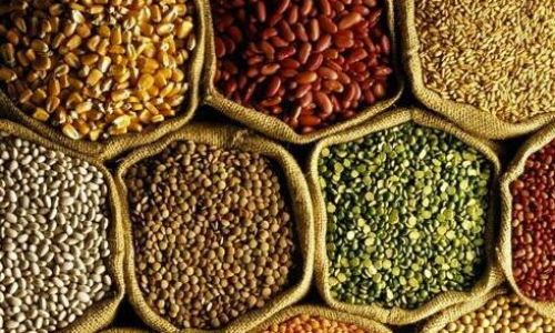 The Power of Fiber:Exploring the Health Benefits and Science Behind High-Fiber Foods