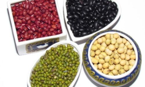 The Power of Fiber:Exploring the Health Benefits and Science Behind High-Fiber Foods