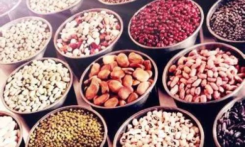 Preserving Cluster Mushrooms for Lunar New Year Feasts:A Comprehensive Guide