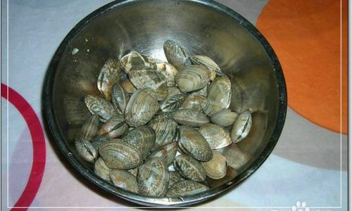 Mastering the Art of Scallion Oil Clams:A Step-by-Step Guide to Perfecting This Umami-Rich Dish