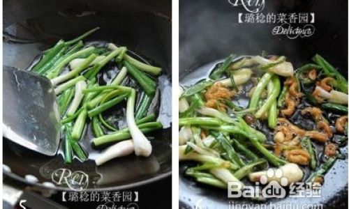 Mastering the Art of Scallion Oil Dried Shrimp Clear Noodle Soup:A Step-by-Step Guide