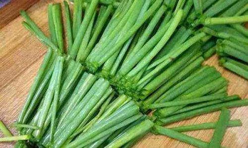 Mastering the Art of Cooking with Green Onions:Simple and Delicious Recipes for Every Kitchen