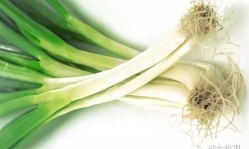 Can You Still Eat Green Onions That Have Turned Yellow?A Comprehensive Guide to Safety and Quality