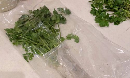 Can Green Onion Segments Be Refrigerated?A Comprehensive Guide to Storage and Freshness