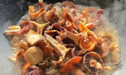 The Art of Crafting Exquisite Pine Mushroom Oil:A Step-by-Step Guide to Preserving Forest Essence