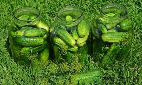 The Art of Stir-Frying Spiny Gourd:A Culinary Journey Through Flavors and Techniques