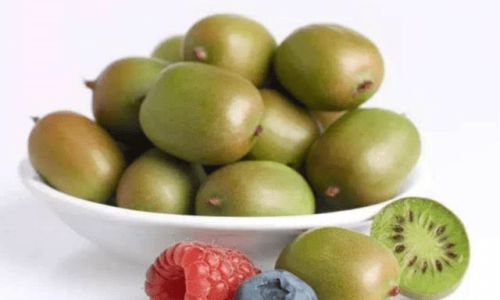 Can You Eat the Skin of Soft Dates?An In-Depth Exploration