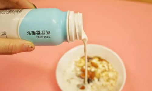 The Versatility of Lactobacillus:Simple Food Creations You Can Make