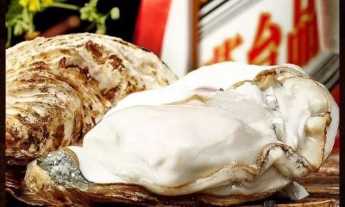 The Peak Season for the Fattest Laoshan Oysters:A Culinary Delight Unveiled
