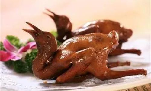 Mastering the Art of Roasting Delicious Squab