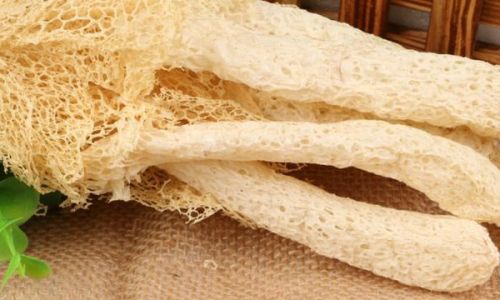 How to Cook a Delicious Bamboo Fungus and Pork Slices Stir-Fry