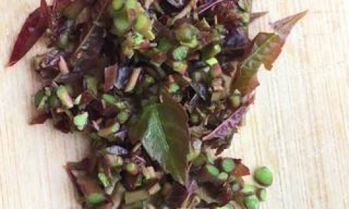 How to Steam Chinese Toon Toona sinensis)Leaves:A Culinary Guide