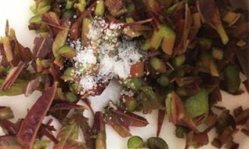 How to Steam Chinese Toon Toona sinensis)Leaves:A Culinary Guide