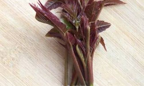 How to Steam Chinese Toon Toona sinensis)Leaves:A Culinary Guide