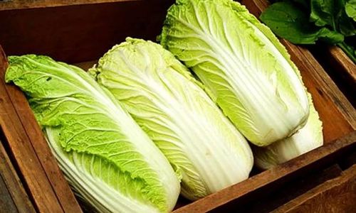 The Art of Sun-Drying Chinese Cabbage:A Comprehensive Guide to Air-Drying Techniques