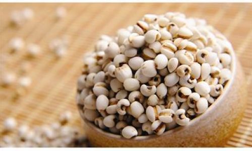 The Optimal Soaking Time for Coix Seed Jobs Tears)Unlocking Its Nutritional Potential