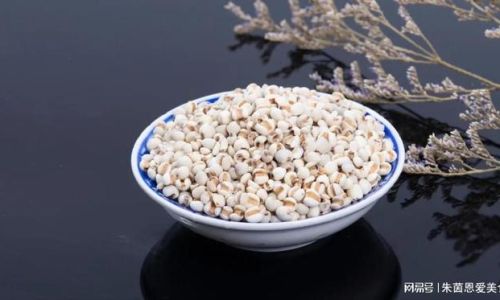 The Proper Way to Consume Coicis Semen:Unlocking Its Nutritional Potential