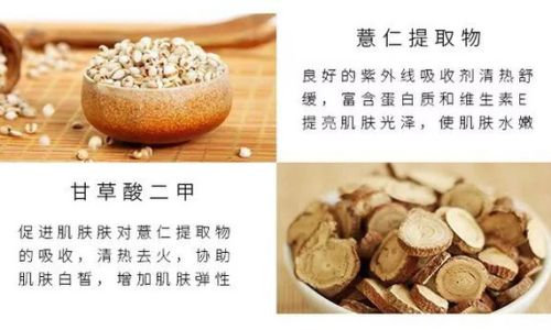 The Proper Way to Consume Coicis Semen:Unlocking Its Nutritional Potential