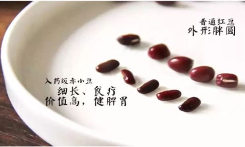 The Debate on Pre-cooking Coix Seed Yimi)Before Making Porridge:A Comprehensive Analysis