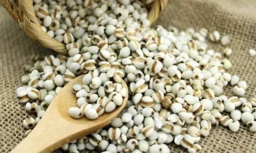 Overcoming the Challenge of Cooking Tough Coix Seeds:Practical Tips and Techniques