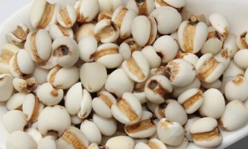 The Optimal and Most Convenient Ways to Enjoy Coix Seed Jobs Tears)