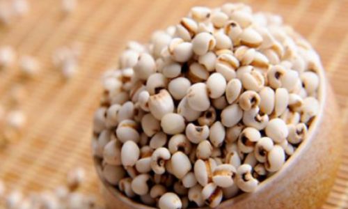 The Optimal and Most Convenient Ways to Enjoy Coix Seed Jobs Tears)