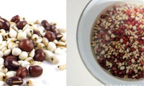How Long Does It Take to Cook Coix Seed Coicis Semen)for Optimal Consumption?