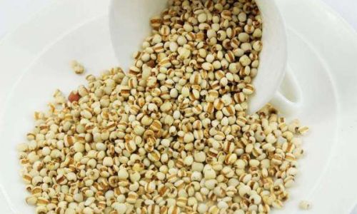How Long Does It Take to Cook Coix Seed Coicis Semen)for Optimal Consumption?