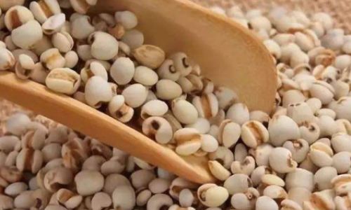 Mastering the Art of Cooking Soft and Tender Coix Seeds Jobs Tears)