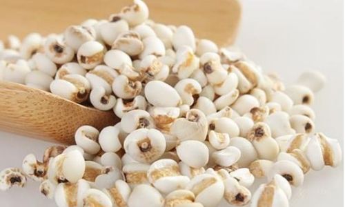 Mastering the Art of Cooking Soft and Tender Coix Seeds Jobs Tears)