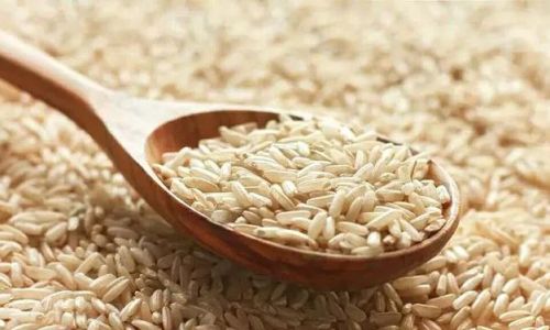 Can You Consume Uncooked Coix Seed Jobs Tears)