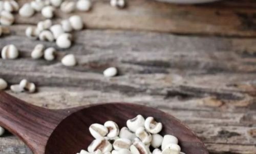 Can You Store Coix Seed Jobs Tears)in the Refrigerator?An In-Depth Guide