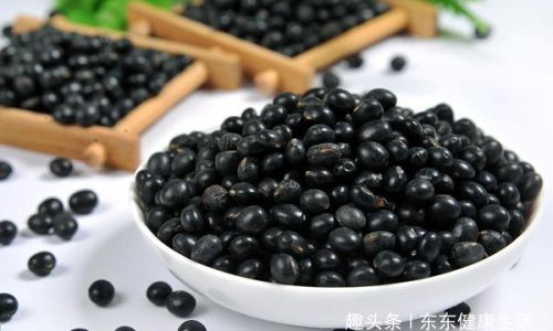 Can Coix Seed and Black Bean Be Roasted in an Oven and Then Ground into Powder?