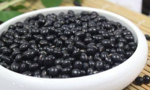 Can Coix Seed and Black Bean Be Roasted in an Oven and Then Ground into Powder?