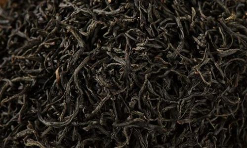 The Art of Properly Brewing Yiyang Dark Tea