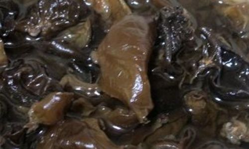 Storing Pre-Soaked Dried Wood Ear Mushrooms:A Comprehensive Guide