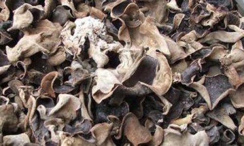 Storing Pre-Soaked Dried Wood Ear Mushrooms:A Comprehensive Guide