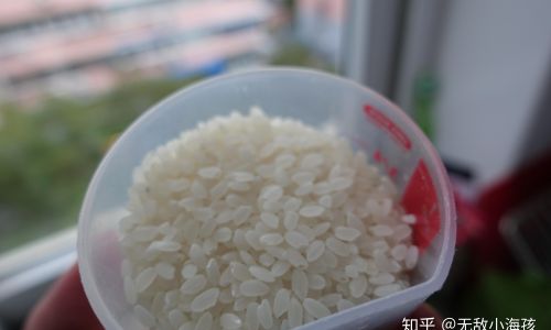 The Magic of Transformation:How Much Rice Can You Cook from One Bowl of Uncooked Grains?