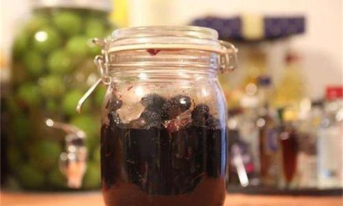 Exploring the Preservation Methods of Mulberry Wine:A Comprehensive Guide