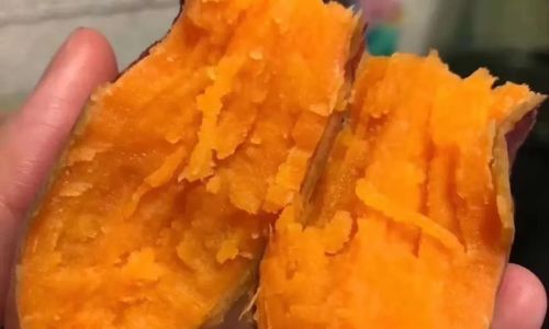 A Mouthful of Honey:The Soft,Sticky,and Sweet Delight