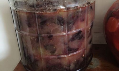 How Much Wine Can Be Produced from One Jin of Grapes?