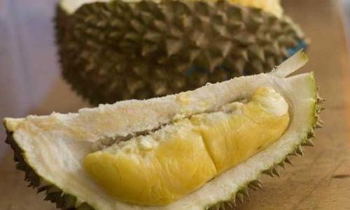 What to Do When You Cant Finish a Whole Durian