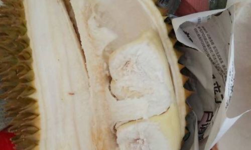 What to Do When You Cant Finish a Whole Durian