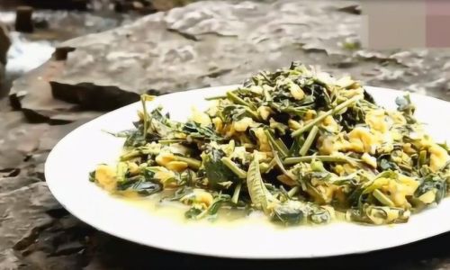 Mastering the Art of Cooking Toon Sprouts:Delicious Recipes and Tips to Elevate Your Dishes