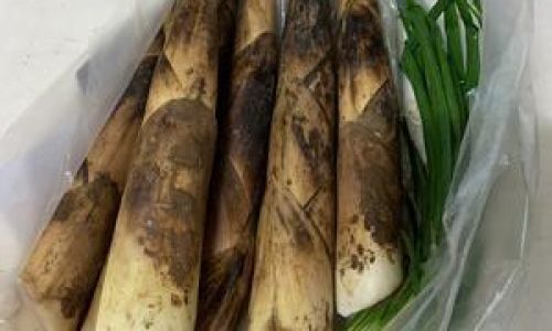 A Comprehensive Guide to Cooking Spring Bamboo Shoots:Delicious Recipes and Techniques